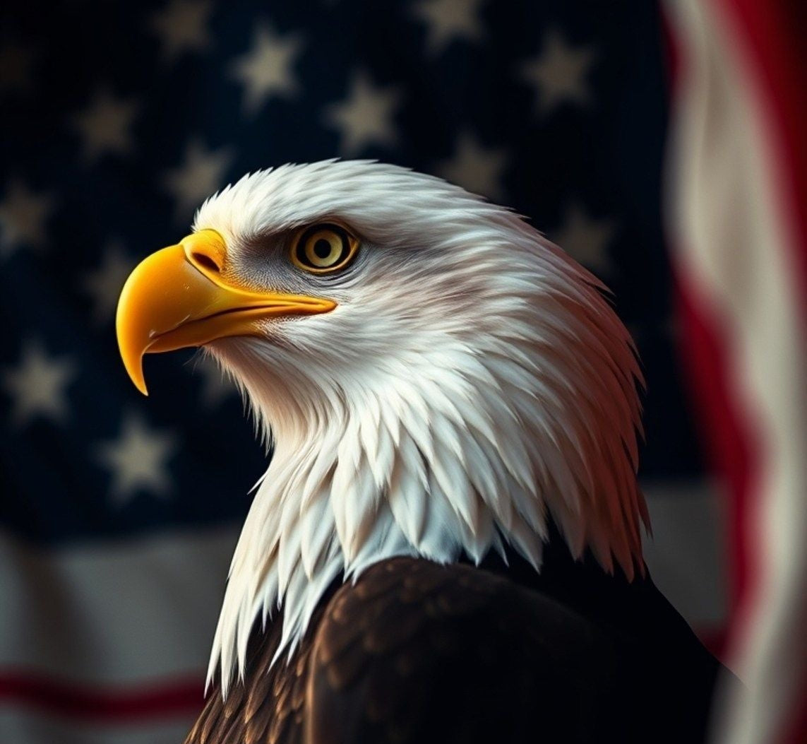 American Power Foundation